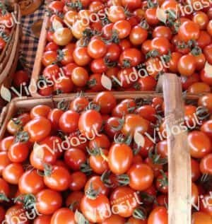 Vidasul Tomate Cereja Vermelho SH 25