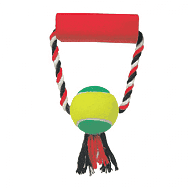 Lcm Brinq Push Dog Madeira REF DG117