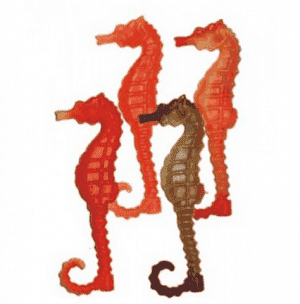 Still Pet Cavalo Marinho c/12 unid REF 0331