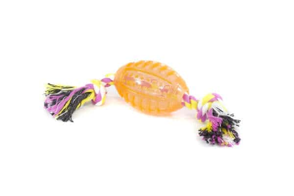 The Pets Brinq Mordedor Oval c/Corda REF 10899