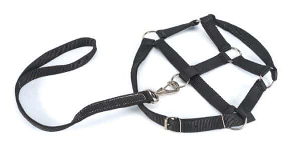 Ridelf Peitoral Nylon Reforçada c/Guia REF 3517