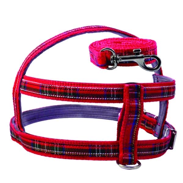 Coltelli Peitoral c/Guia Nylon Xadrez Nº 5 á 8
